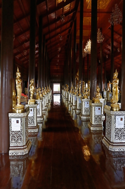 Wat Krathum Suea Pla-041